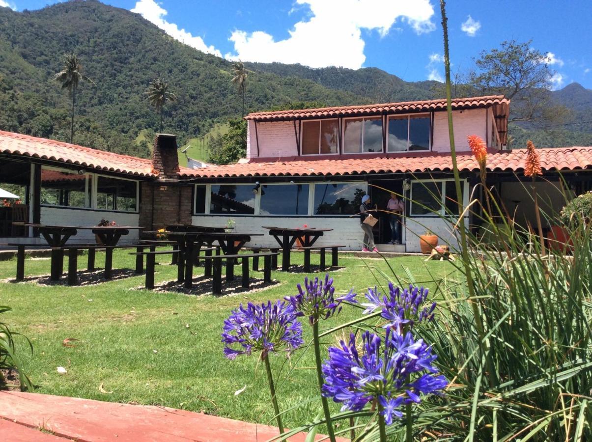 Palmas De Cocora Konuk evi Salento Dış mekan fotoğraf