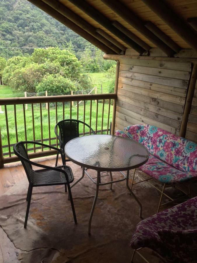 Palmas De Cocora Konuk evi Salento Dış mekan fotoğraf