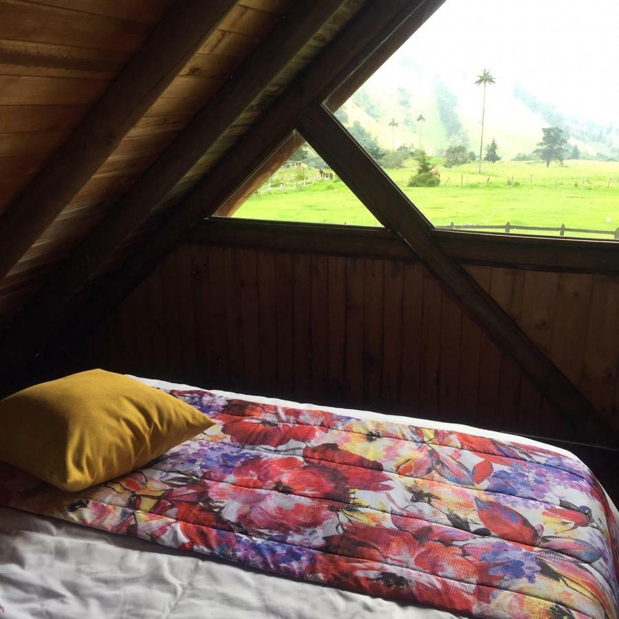 Palmas De Cocora Konuk evi Salento Dış mekan fotoğraf