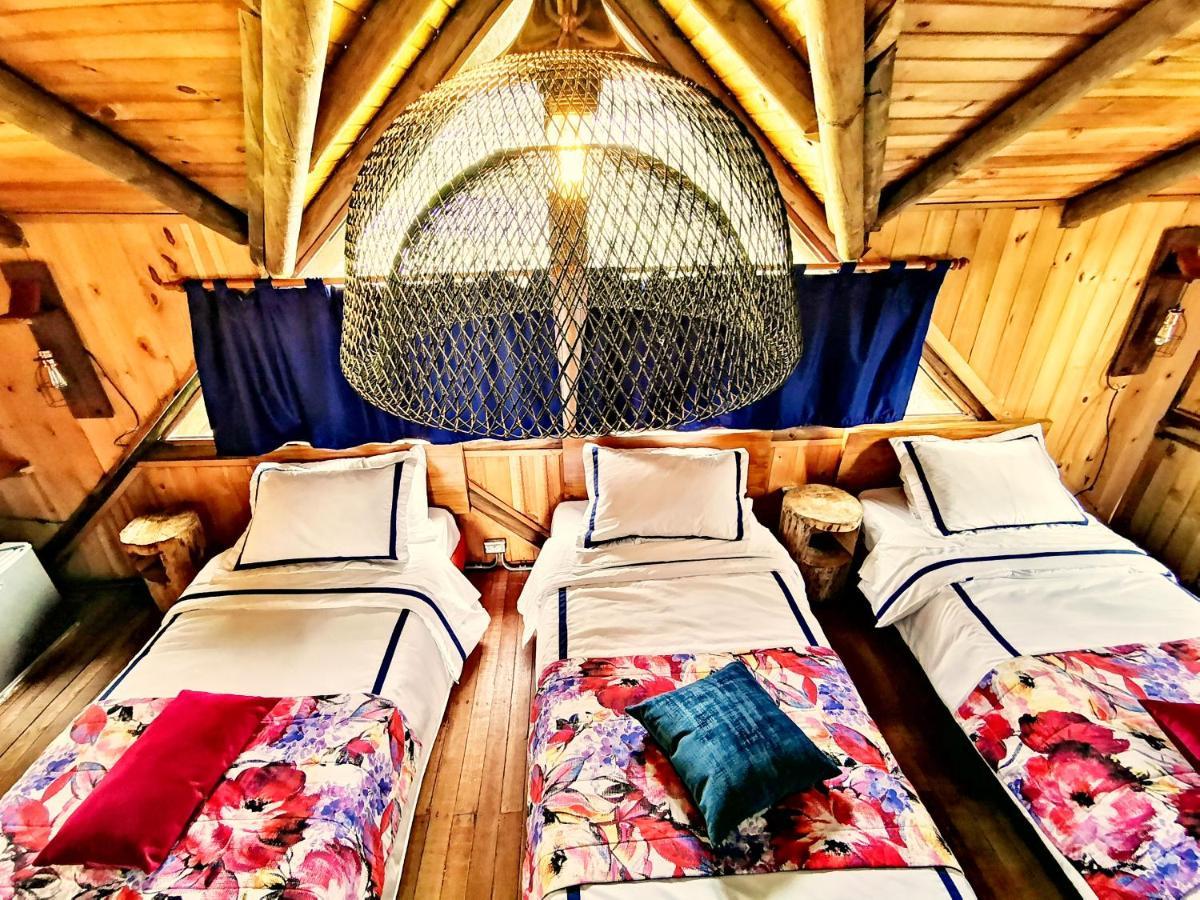 Palmas De Cocora Konuk evi Salento Dış mekan fotoğraf