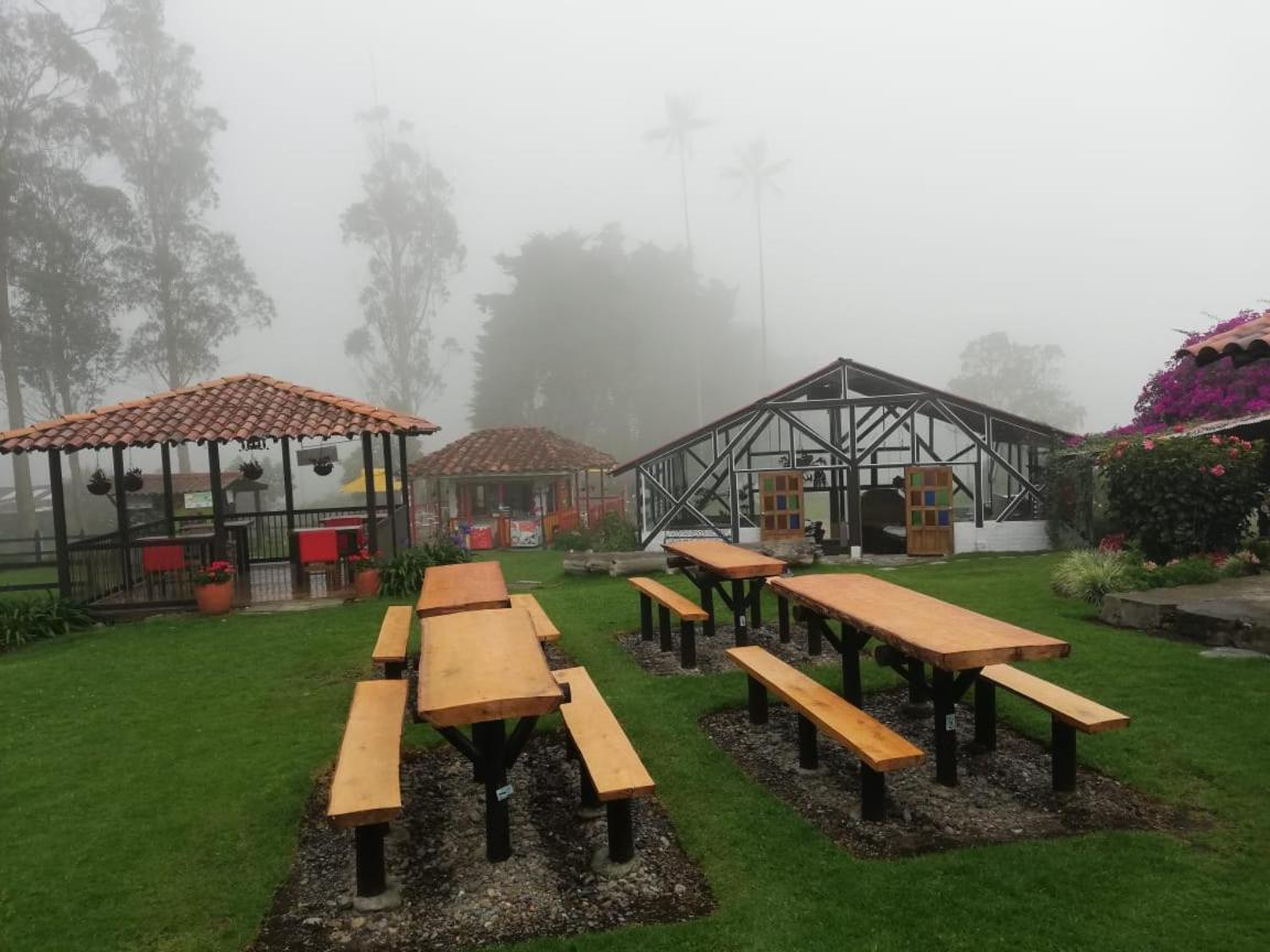 Palmas De Cocora Konuk evi Salento Dış mekan fotoğraf